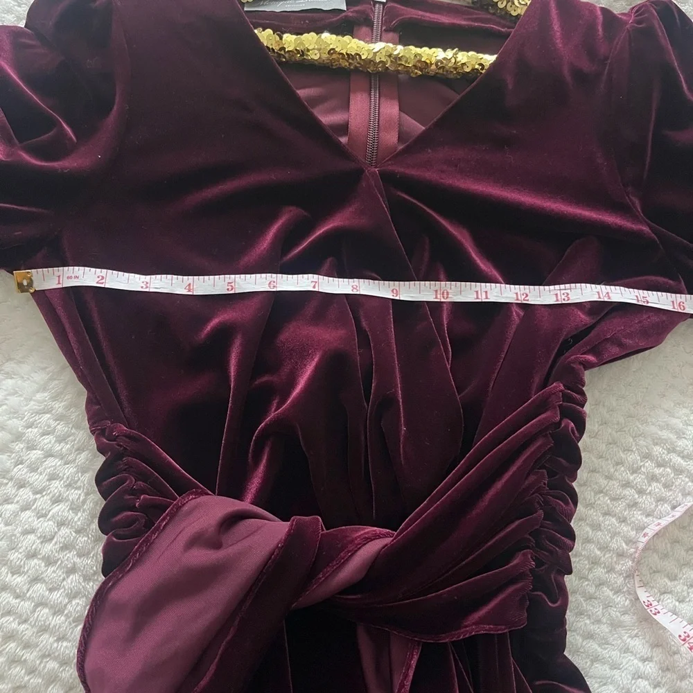 Monique Lhuillier Collection Merlot Soft Velvet Tapered Jumpsuit